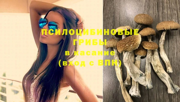 спайс Вяземский