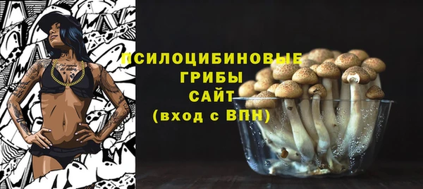 спайс Вяземский
