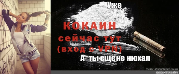 спайс Вяземский
